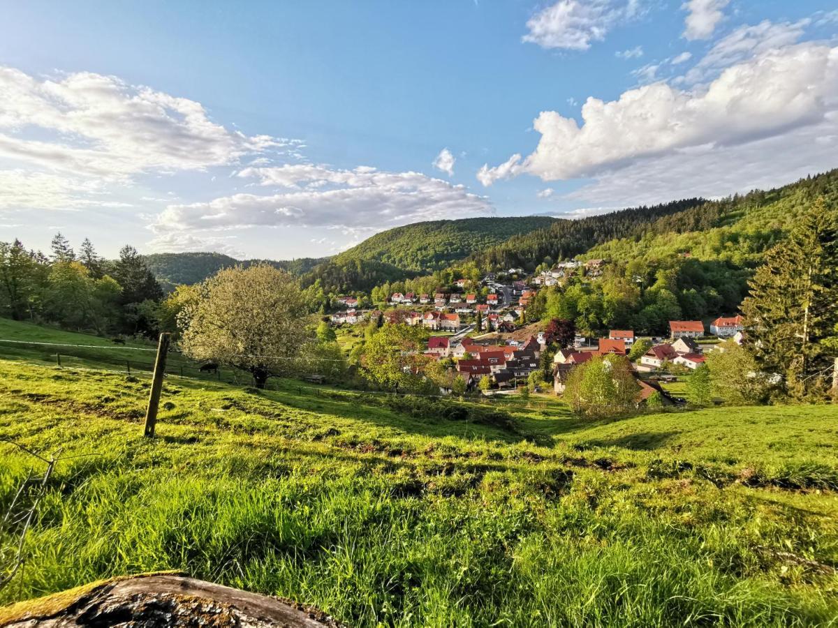 Hotel Pension Jaegerstieg Bad Grund Zewnętrze zdjęcie